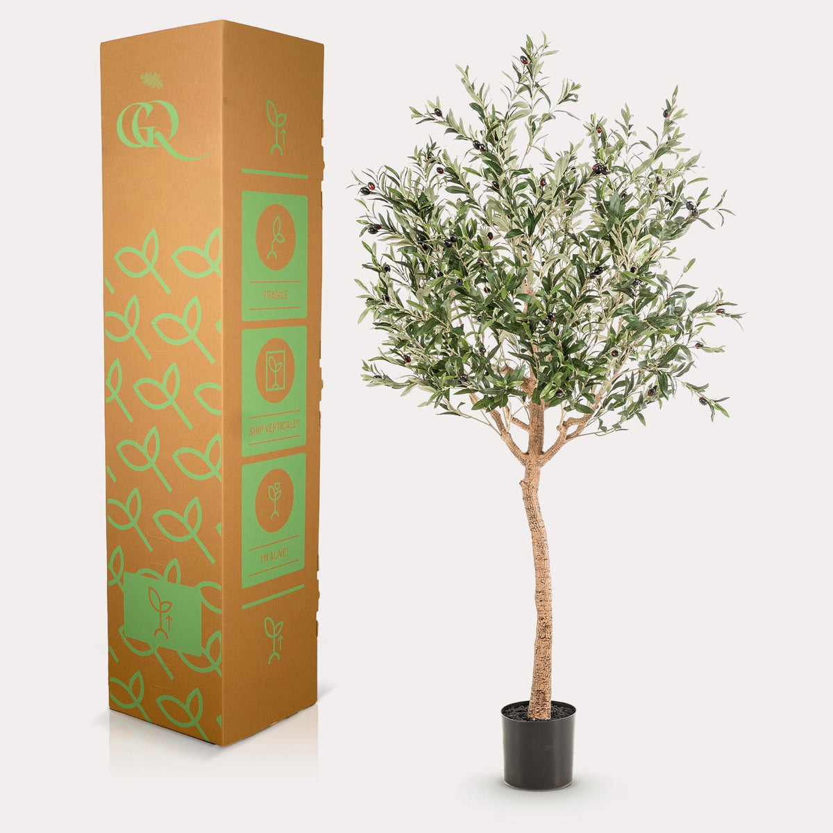 Olea Europaea - Olivenbaum - 180 cm - kunstpflanze