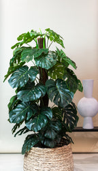 Monstera Deliciosa - Kunstpflanze - 150 cm