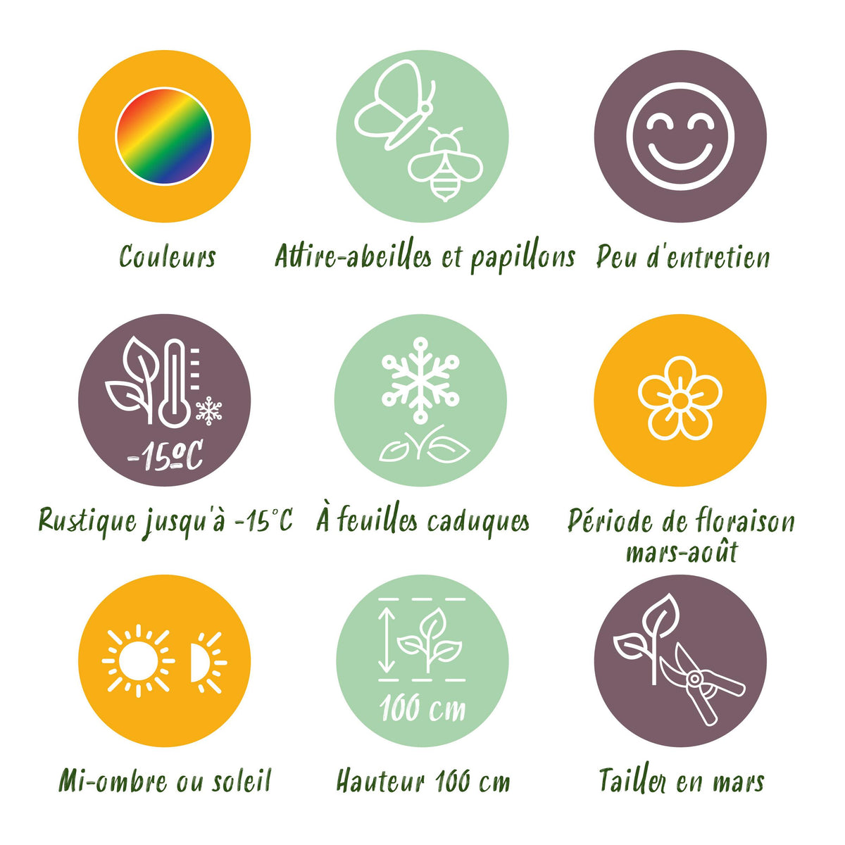 Green boutiQ - Borderpakket - Kleur Wit - 24 Vaste planten - 3 m2 - Diversen kleuren - Weinig Onderhoud - Pot 11cm