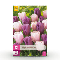Green boutiQ - Bloembollen - Tulp Macron mix - Diversen Kleuren - 12 stuks - Bolmaat 11/12 - XXL Pack