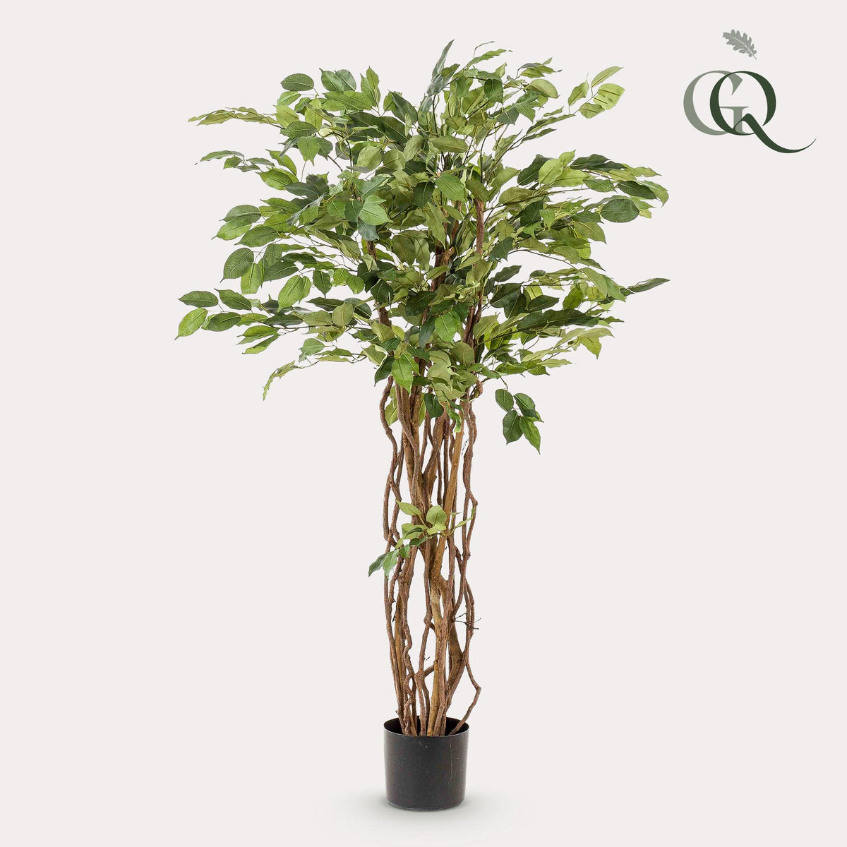 kunstplant - Ficus liana  - Vioolbladplant - 140cm