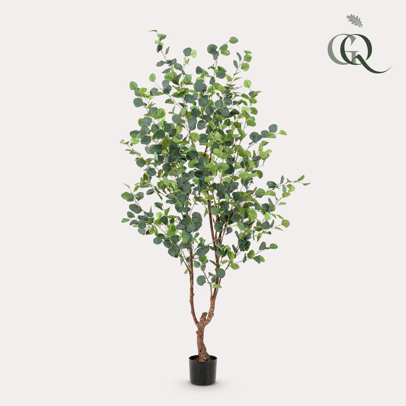 Kunst plant - Eucalyptus - Blauwe Gomboom  - 180 cm - XL - AB