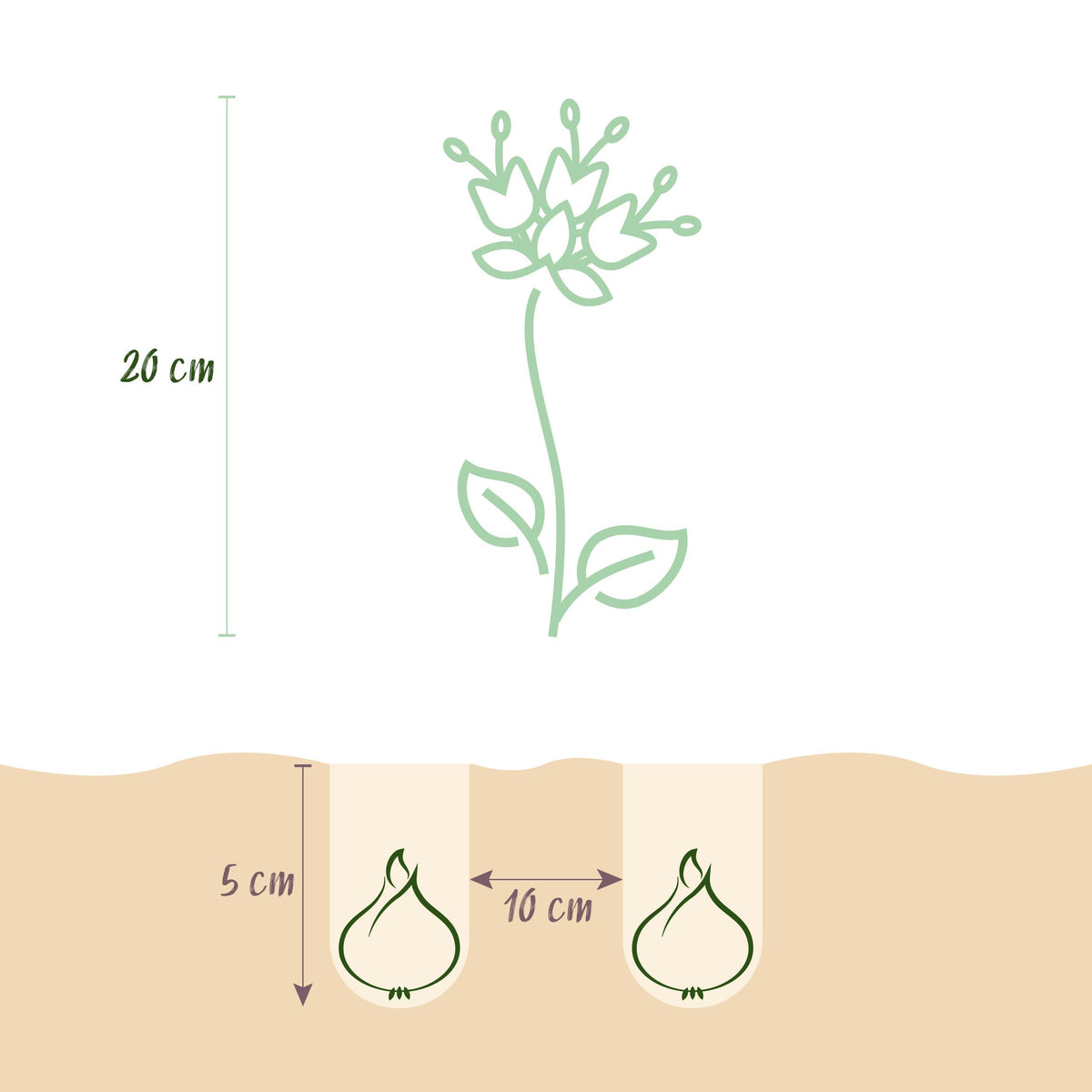 Green boutiQ - Bloembollen - Fritillaria Meleagris Mix - Kleur Paars en Wit - 30 stuks - Bolmaat 6/7 - XXL Pack