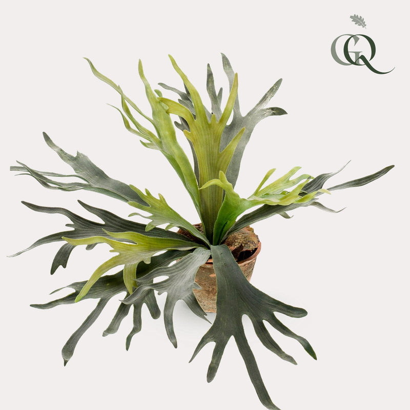 Staghorn Farn - Geweihfarn - 50 cm - kunstpflanze
