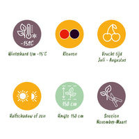 Green boutiQ - Fruit planten mix - Rode Bes, Rode Framboos, Zwarte Braam - 3 planten - Pot 11cm Hoogte 40cm