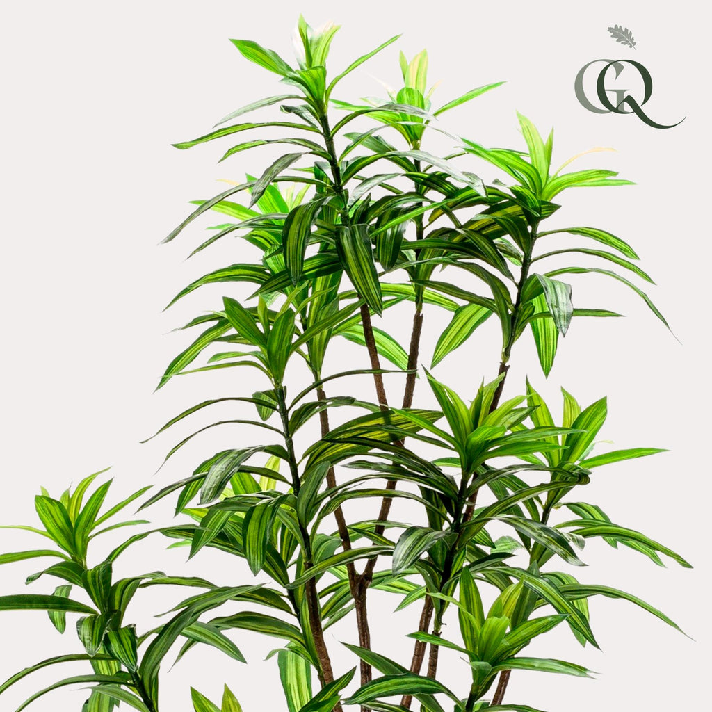 Plante artificielle - Dracaena - Dragonnier - 130 cm