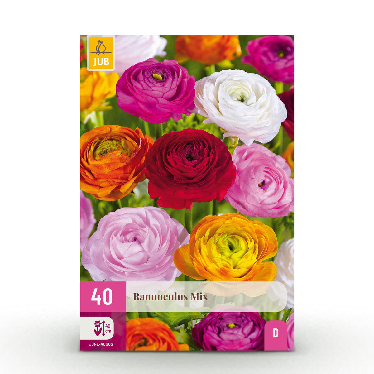 Green boutiQ - Bloembollen - Ranunculus Mix - Diversen Kleuren - 40 stuks - Bolmaat 5/6 - XXL Pack