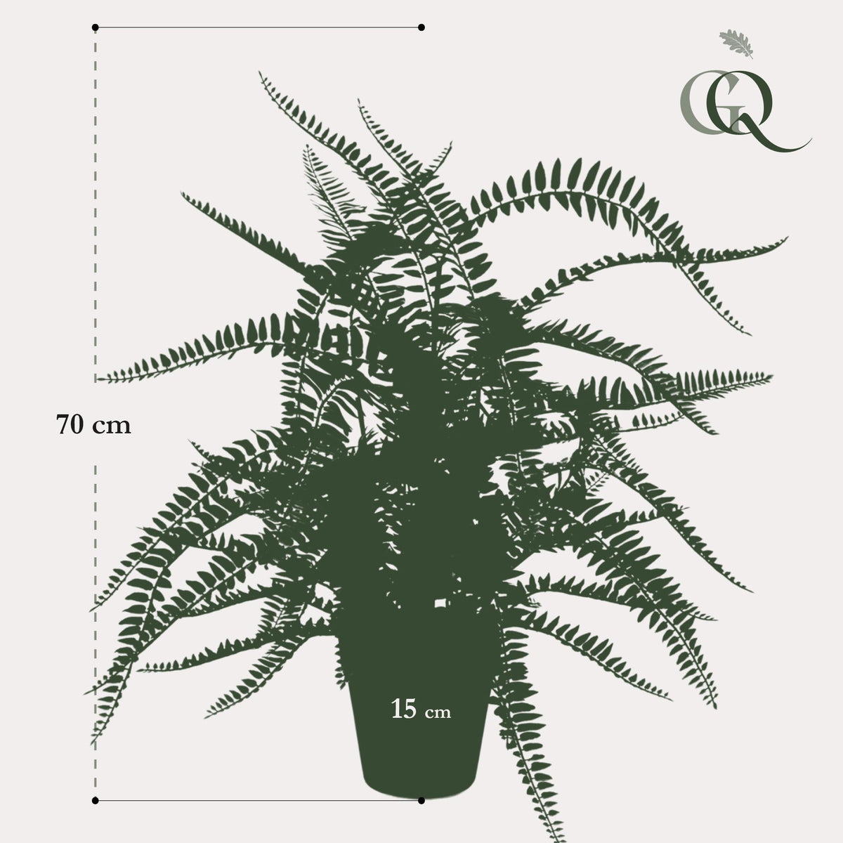 Kunstplant - Nephrolepis Exaltata - Bostonvaren - 70 cm