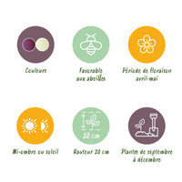 Green boutiQ - Bloembollen - Fritillaria Meleagris Mix - Kleur Paars en Wit - 30 stuks - Bolmaat 6/7 - XXL Pack