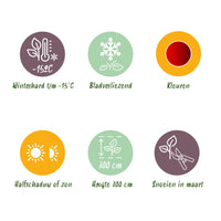 Green boutiQ - Terrasplant - Japanse Esdoorn - Acer palmatum Sumi-nagashi - Rood - 1 Plant - Bladverliezend - Pot 19cm Hoogte 70cm