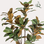 Plante artificielle - Magnolia Grandiflora - 150 cm