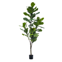 kunstplant - Ficus Lyrata  - Tabaksplant - 150cm