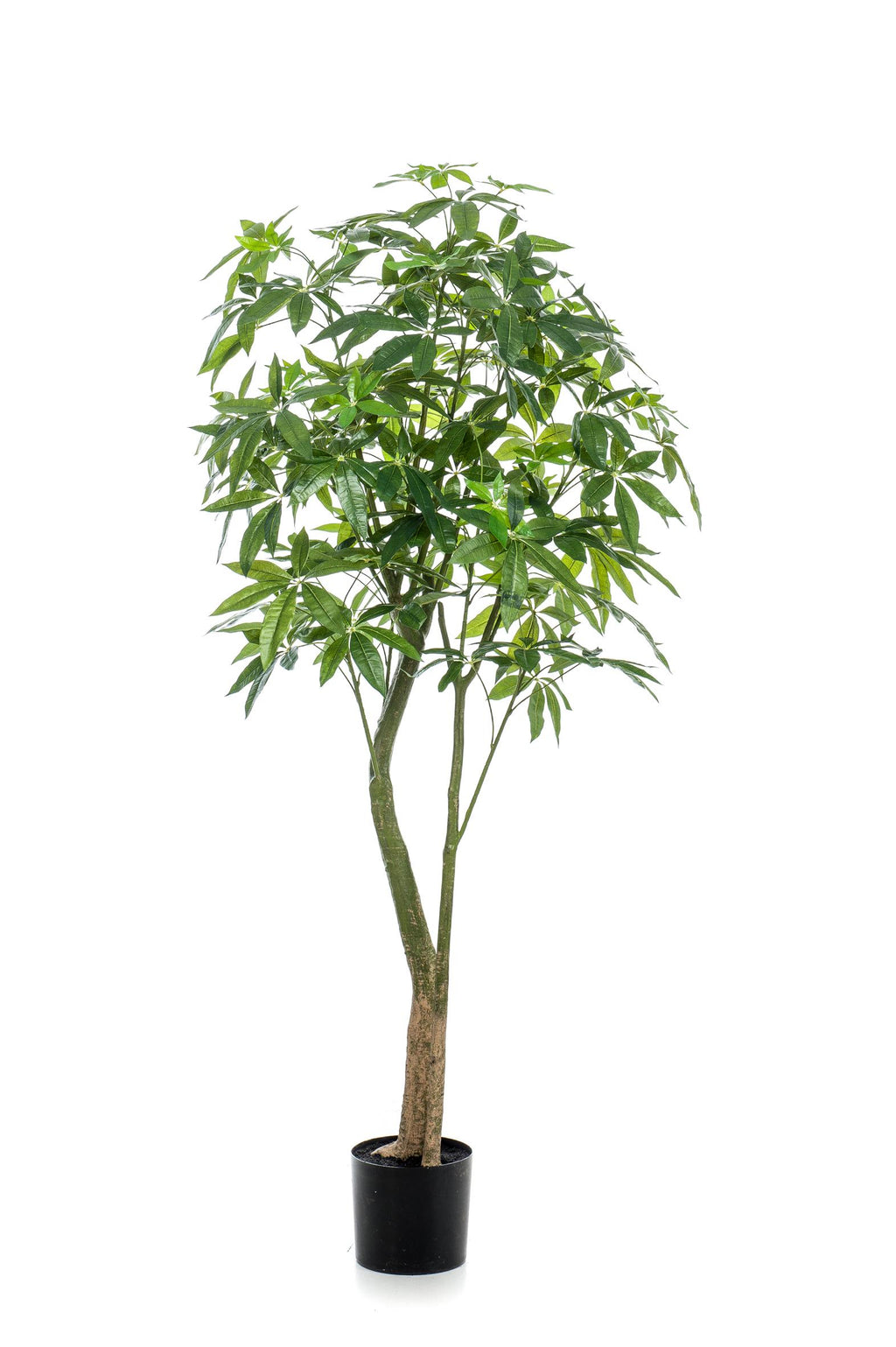 Plante artificielle - Pachira Aquatica - Arbre à monnaie - 180 cm