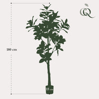 Kunstplant - Magnolia Grandiflora - 180 cm