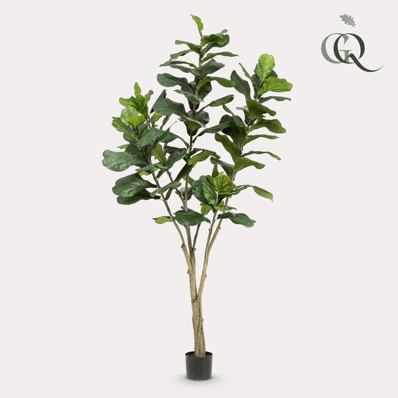 Kunst plant - Ficus Lyrara - Tabaksplant - 210cm XXL - AB