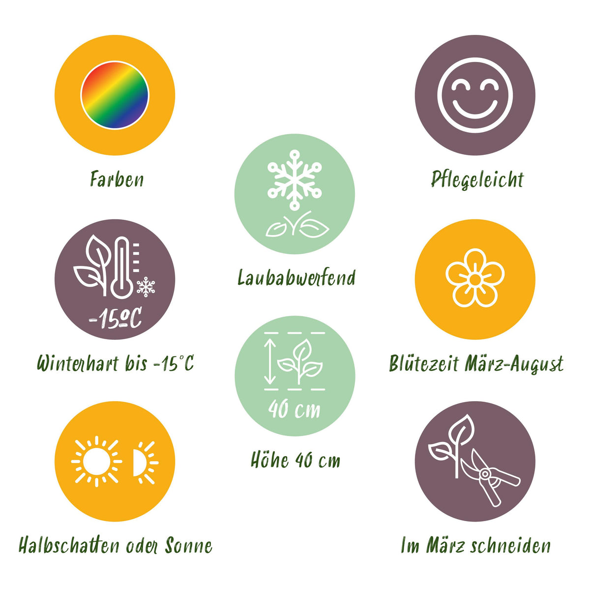 Green boutiQ - Borderpakket - Bodembedekkend - 8 Vaste planten - 1 m2 - Diversen kleuren - Weinig Onderhoud - Pot 11cm