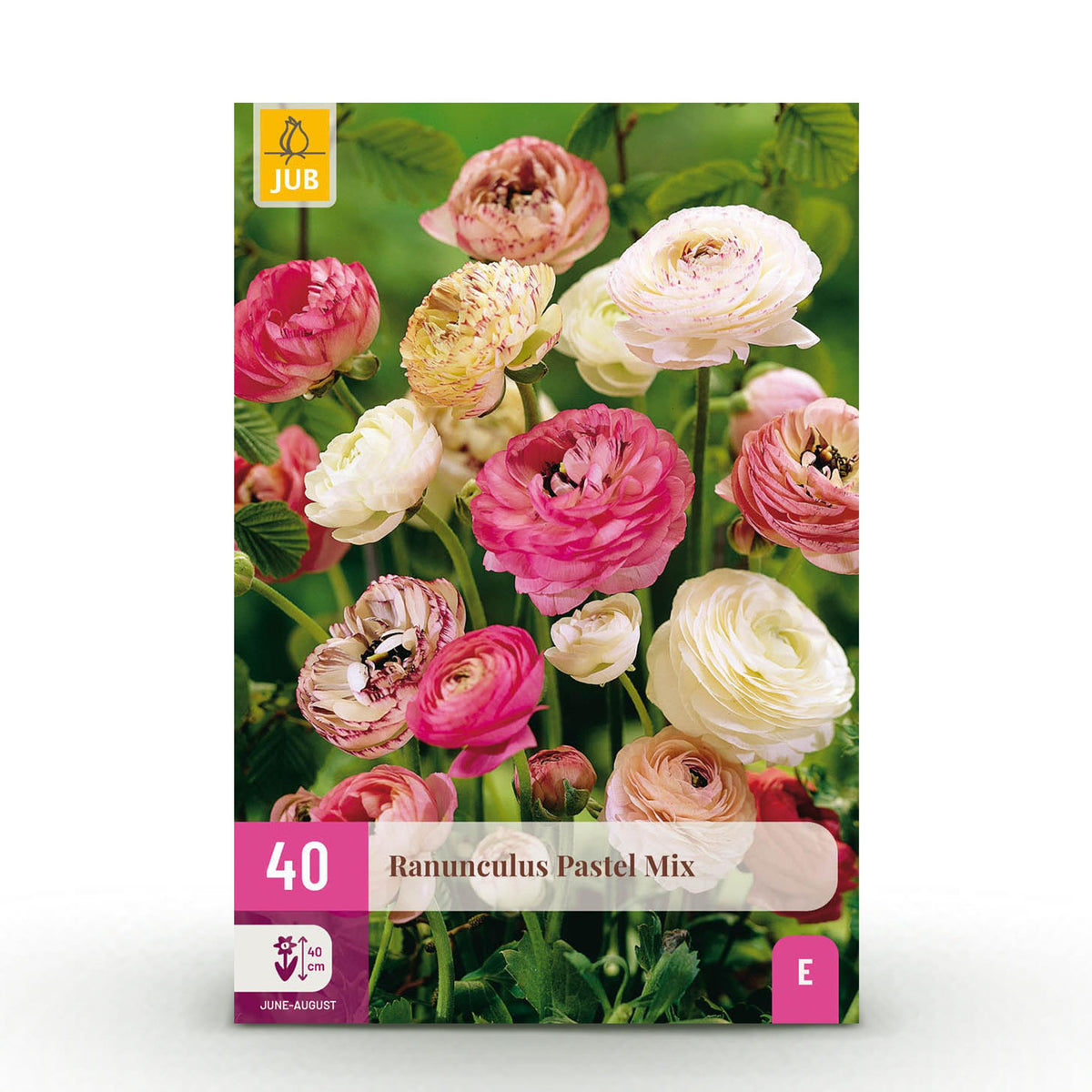 Green boutiQ - Bloembollen - Ranunculus Pastel Mix - Diversen Kleuren - 40 stuks - Bolmaat 5/6 - XXL Pack