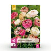 Green boutiQ - Bloembollen - Ranunculus Pastel Mix - Diversen Kleuren - 40 stuks - Bolmaat 5/6 - XXL Pack