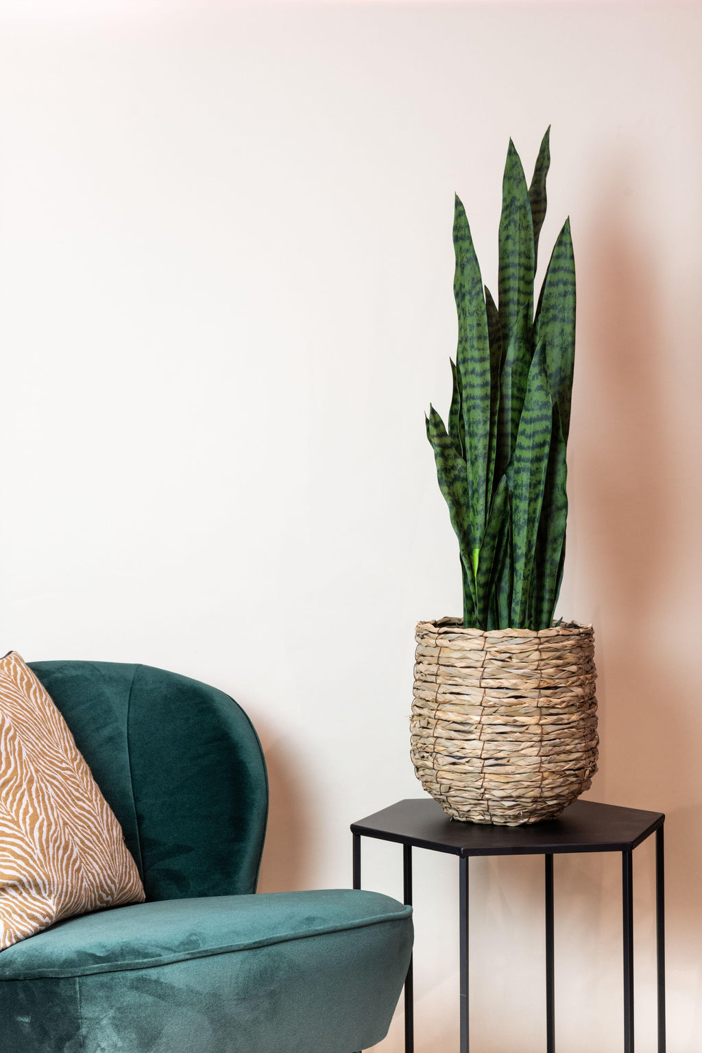 Künstliche Pflanze - Sansevieria Black Coral - Bogenhanf - 97 cm