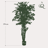 kunstplant - Ficus liana  - Vioolbladplant - 170cm