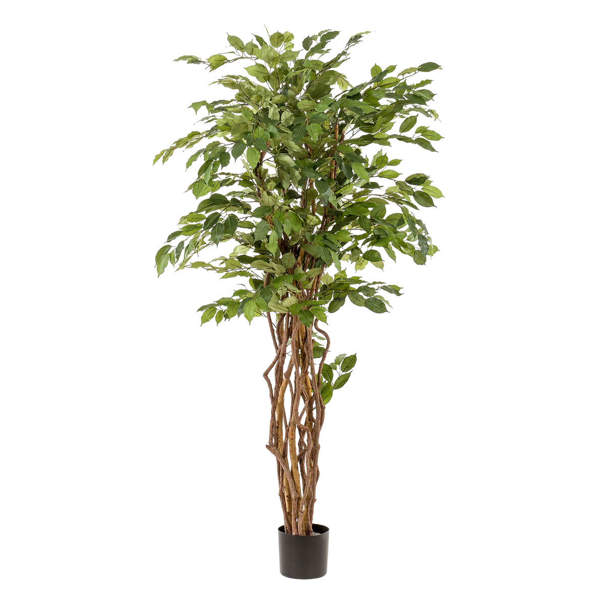 kunstplant - Ficus liana  - Vioolbladplant - 170cm