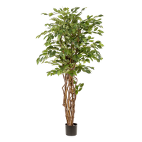 kunstplant - Ficus liana  - Vioolbladplant - 170cm