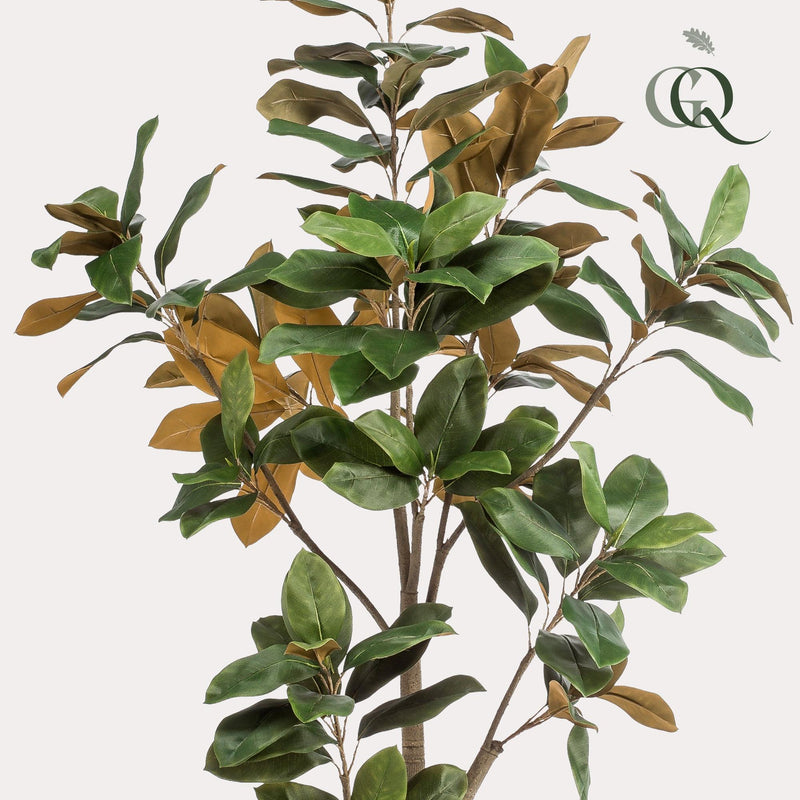 Magnolia Grandiflora - 180 cm - kunstpflanze