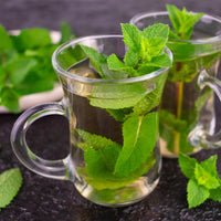 Green boutiQ - Borderpakket - Thee kruiden - 8 Vaste planten - 1 m2 - Diversen kleuren - Weinig Onderhoud - Pot 11cm