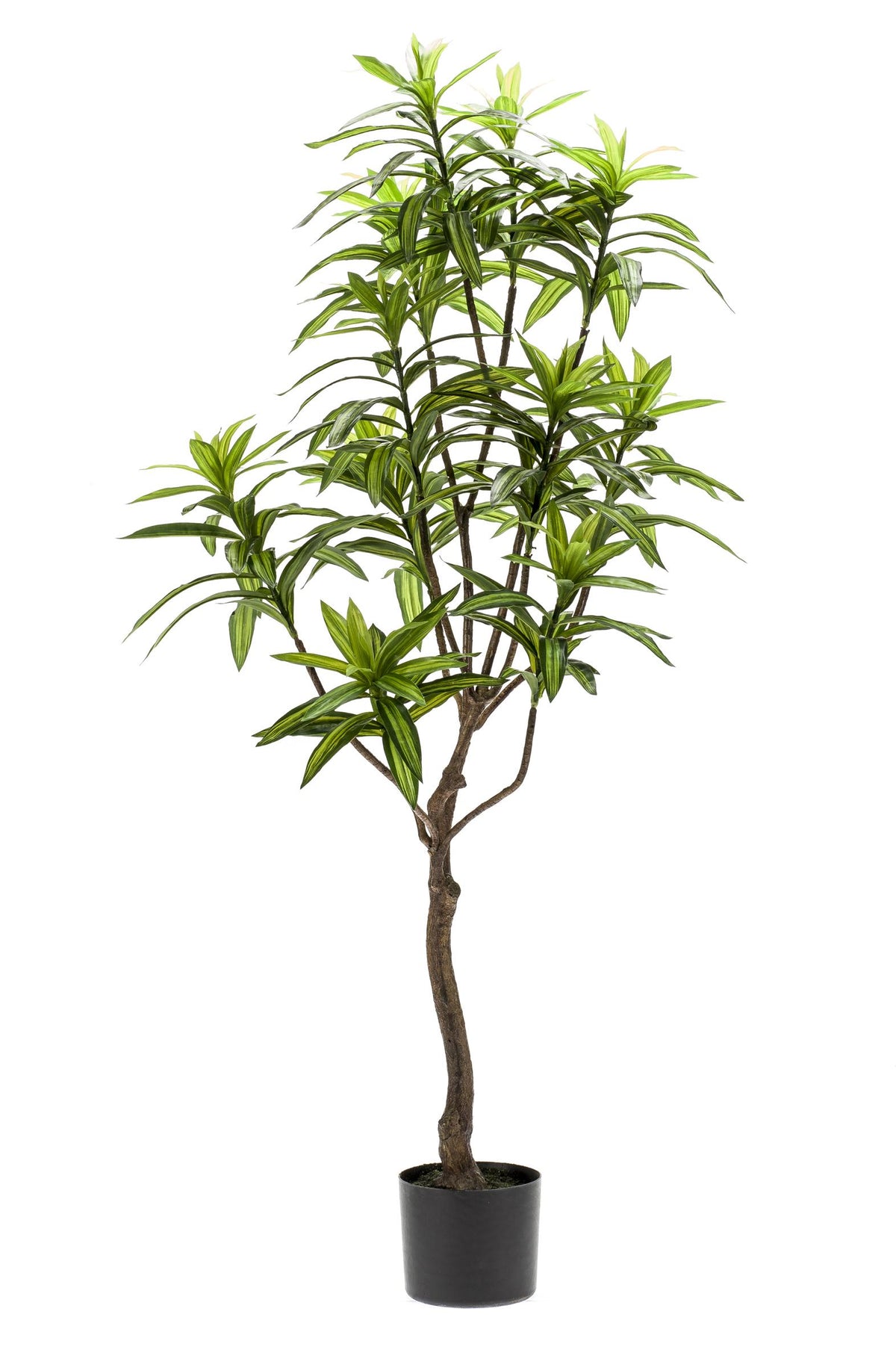Plante artificielle - Dracaena - Dragonnier - 130 cm