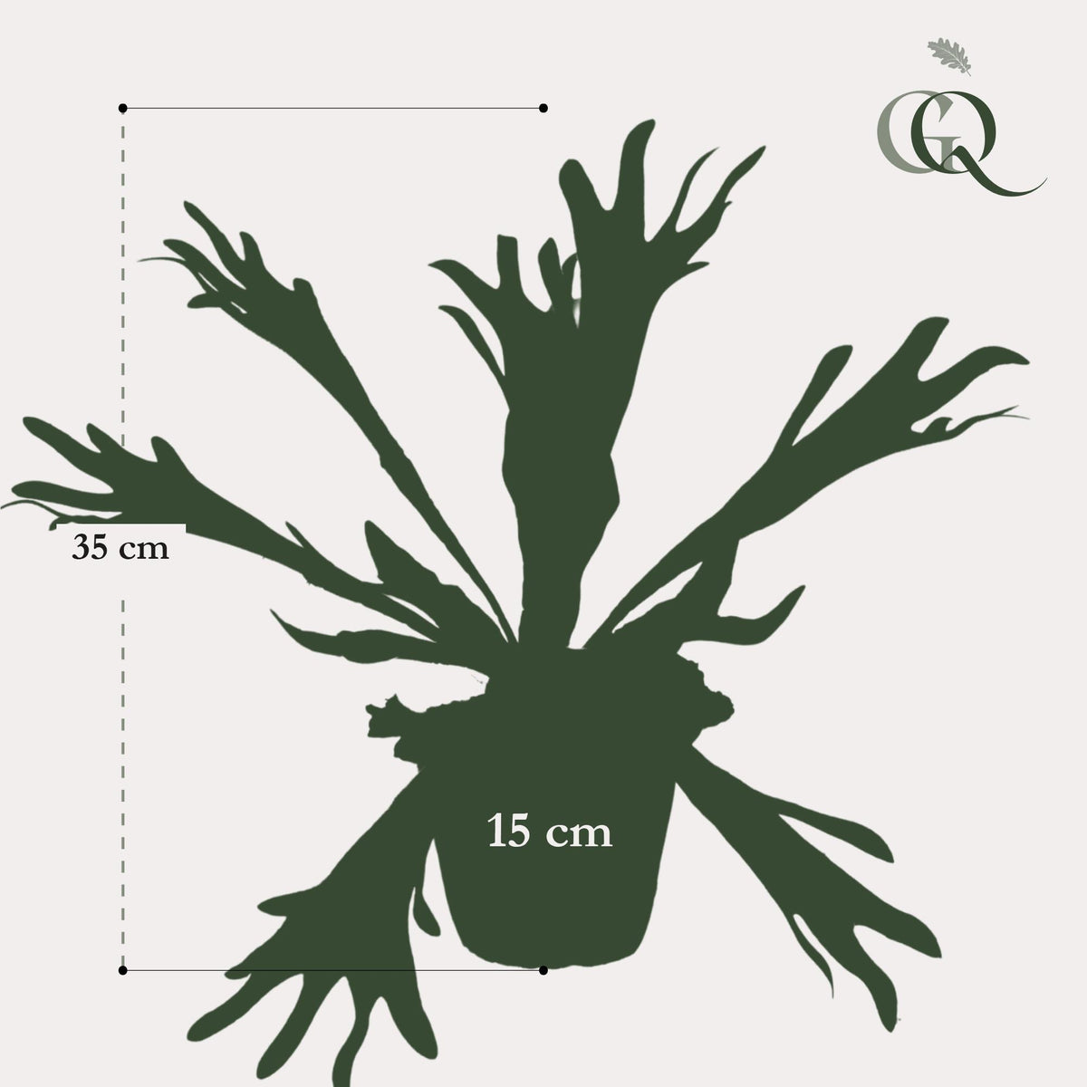 Staghorn Farn - Geweihfarn - 33 cm - kunstpflanze
