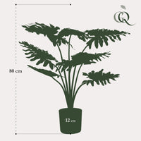 Philondendron - 75 cm - kunstpflanze