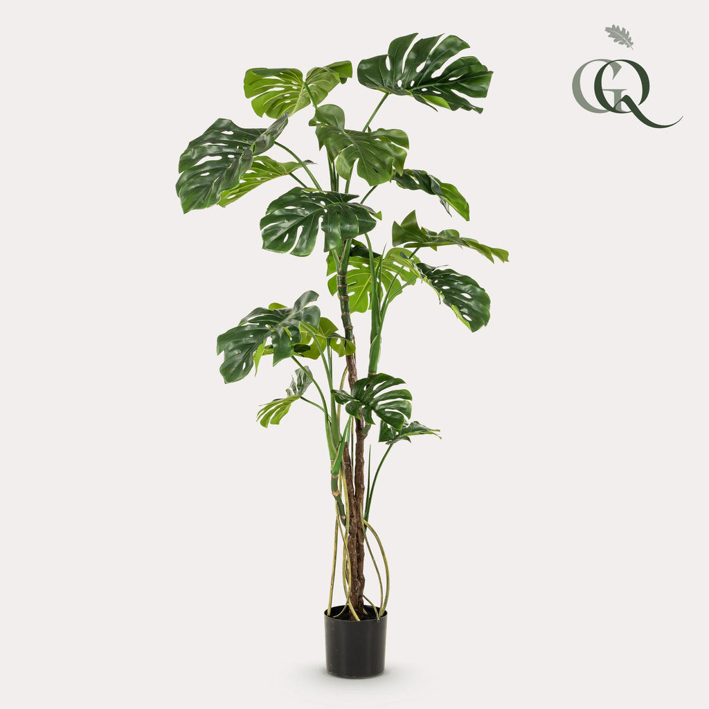plante artificielle - Monstera - Plante à trous - 180 cm