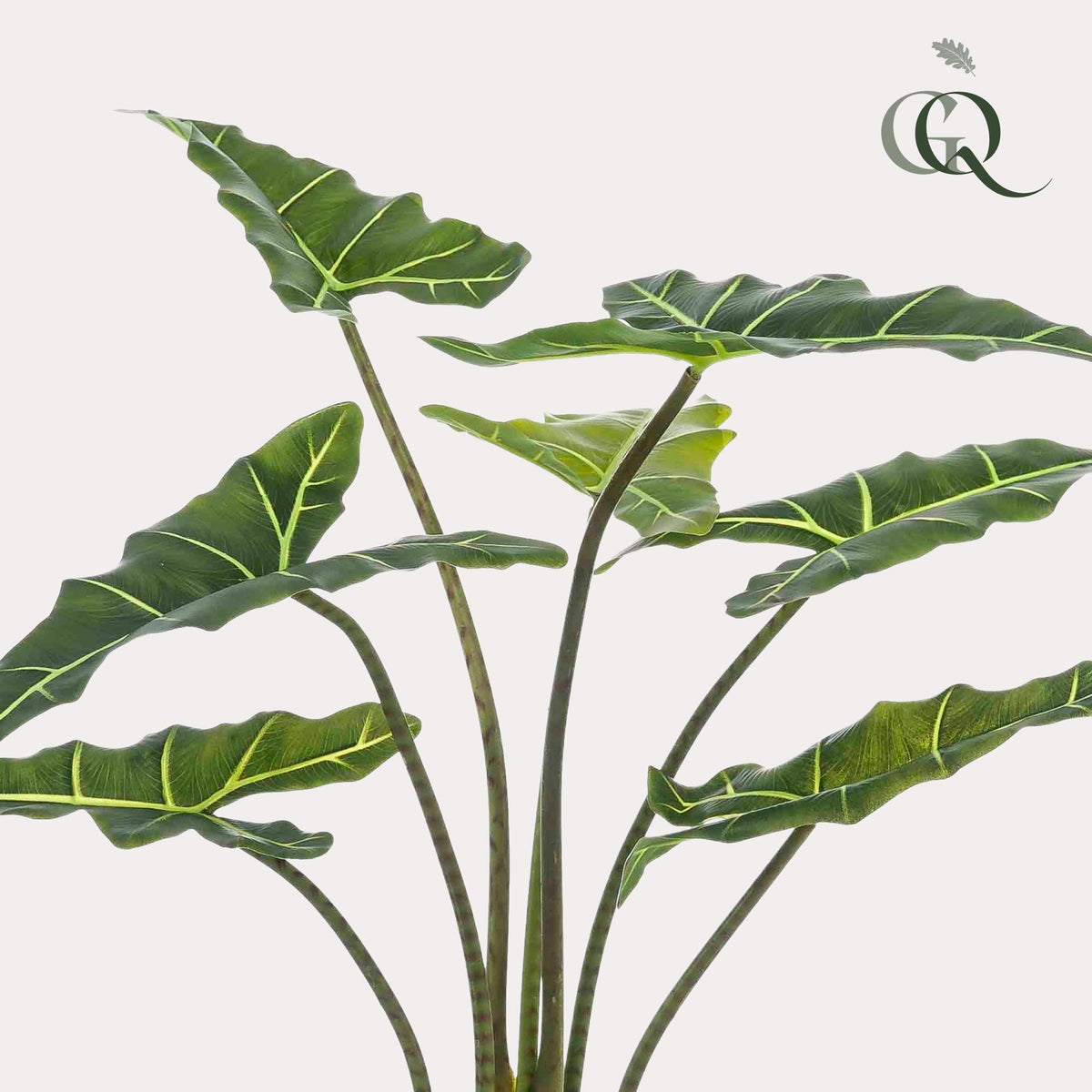 Alocasia Frydek -  90 cm - kunstpflanze