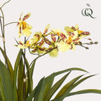 Plante artificielle - Orchidée - Jaune - 45cm