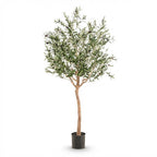 Künstlicher Olivenbaum - Olea europaea - Olivenbaum - 180 cm