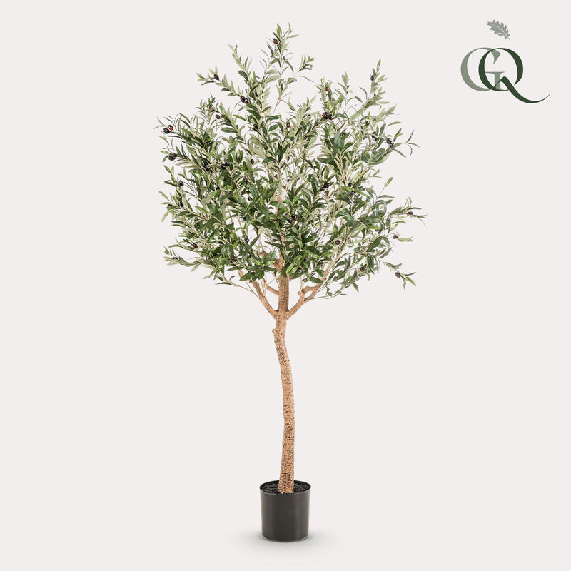 Olea Europaea - Olivenbaum - 180 cm - kunstpflanze