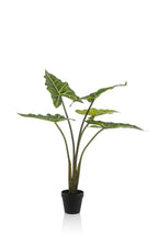 Plante artificielle - Alocasia Frydek - Oreille d'éléphant - 80 cm