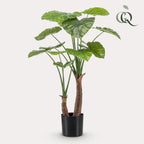 plante artificielle - Alocasia - Oreille d'éléphant - 110cm