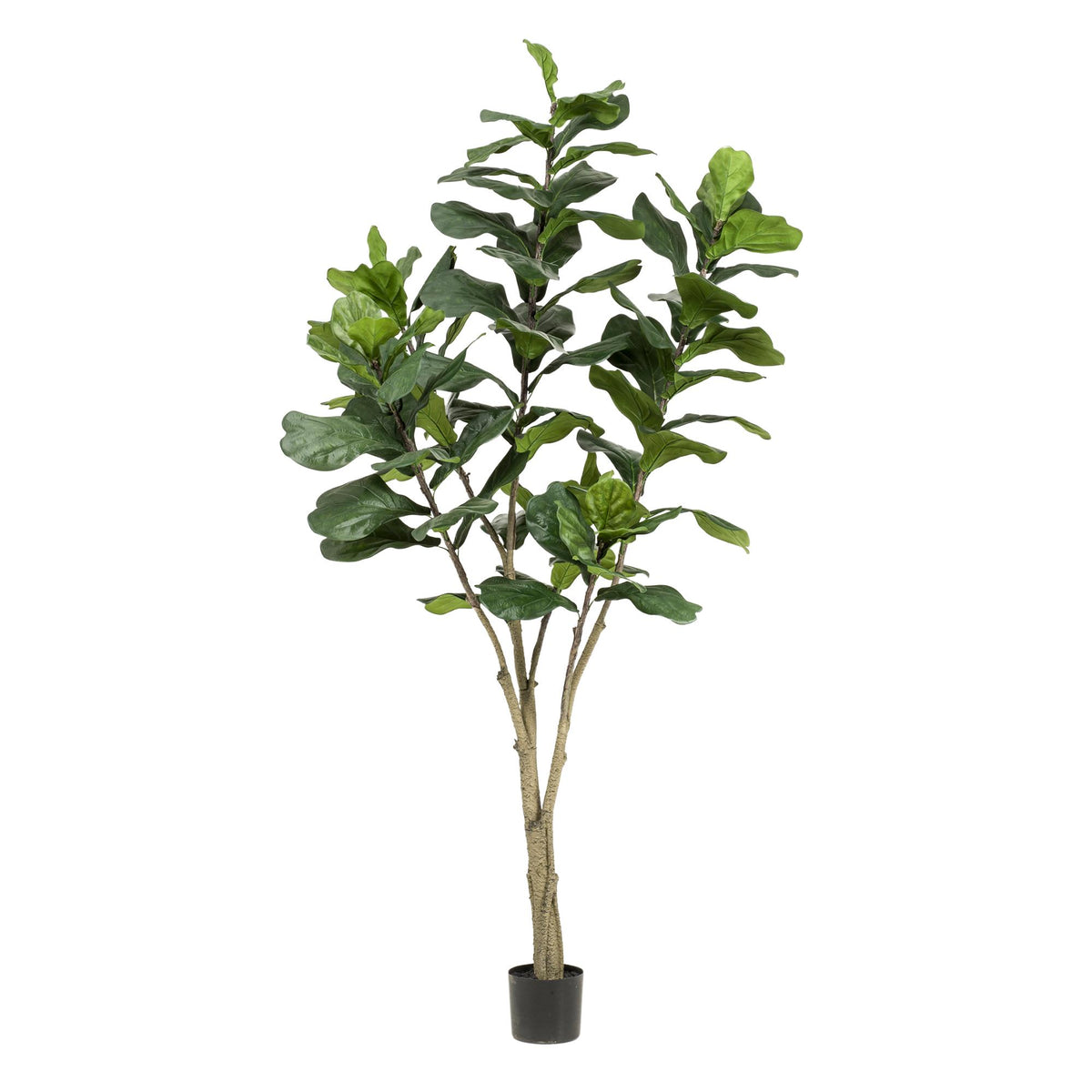 Kunst plant - Ficus Lyrara - Tabaksplant - 210cm XXL - AB