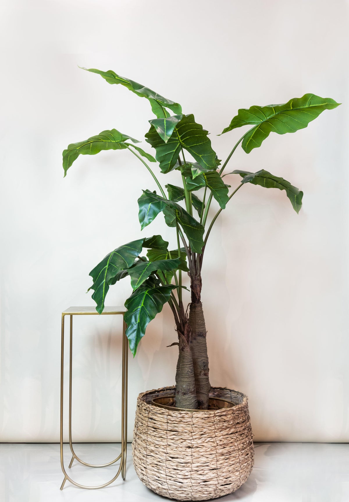 Plante artificielle - Alocasia - Oreille d'éléphant - 180 cm