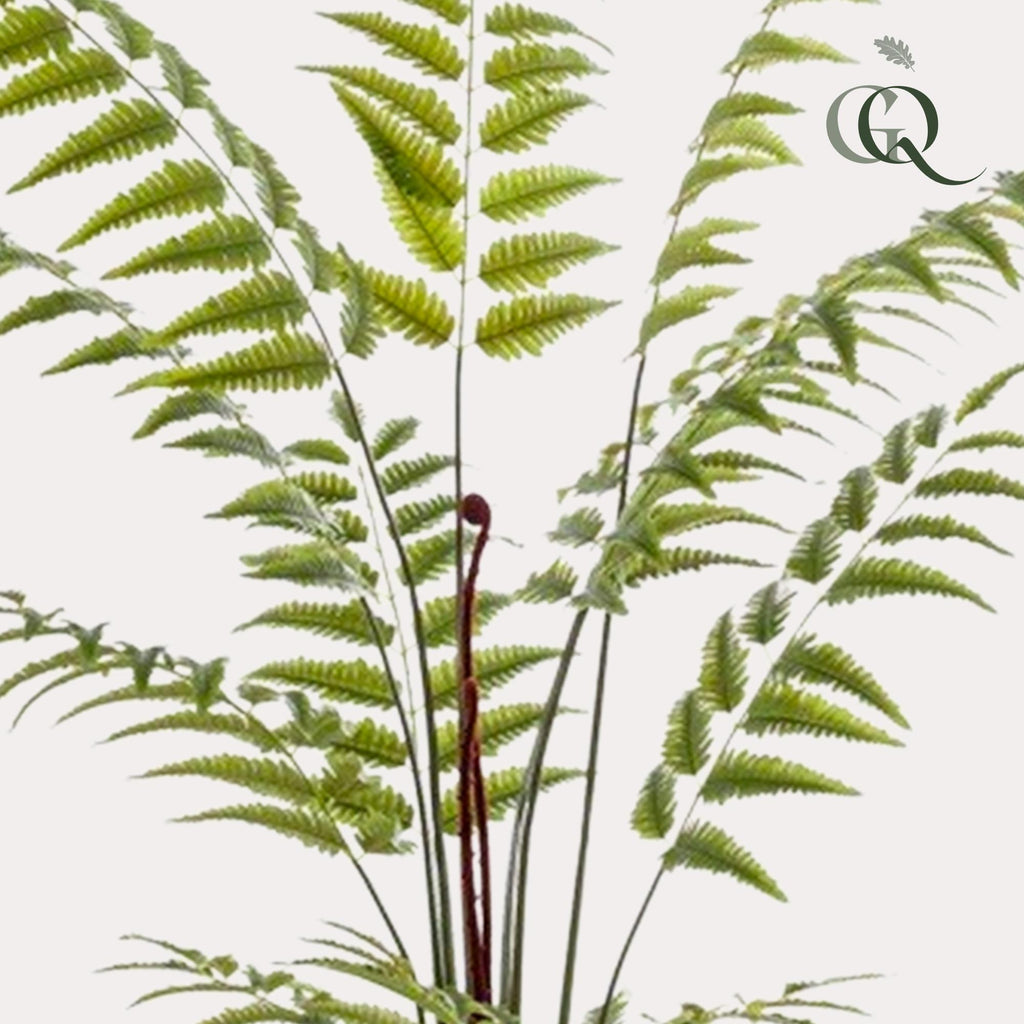 Plante artificielle - Rumohra Adiantiformis - Fougère de cuir - 180 cm