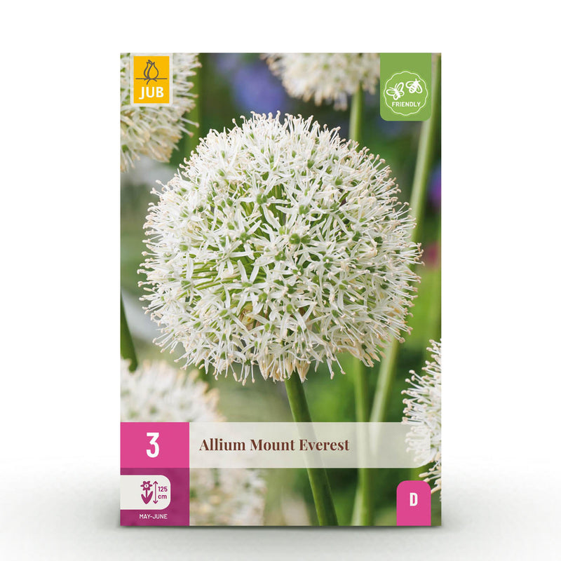 Green boutiQ - Bloembollen - Allium Mount Everest - Kleur Wit - 3 stuks - Bolmaat 16/18 - XXL Pack