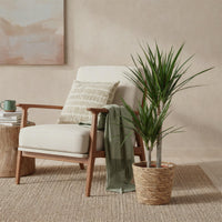 Green BoutiQ - Green is... Kamerplanten - Dracaena Marginata - Drakenbloedboom - Weinig onderhoud - Groen - 1 Plant - Pot 21cm - Hoogte 90-100cm