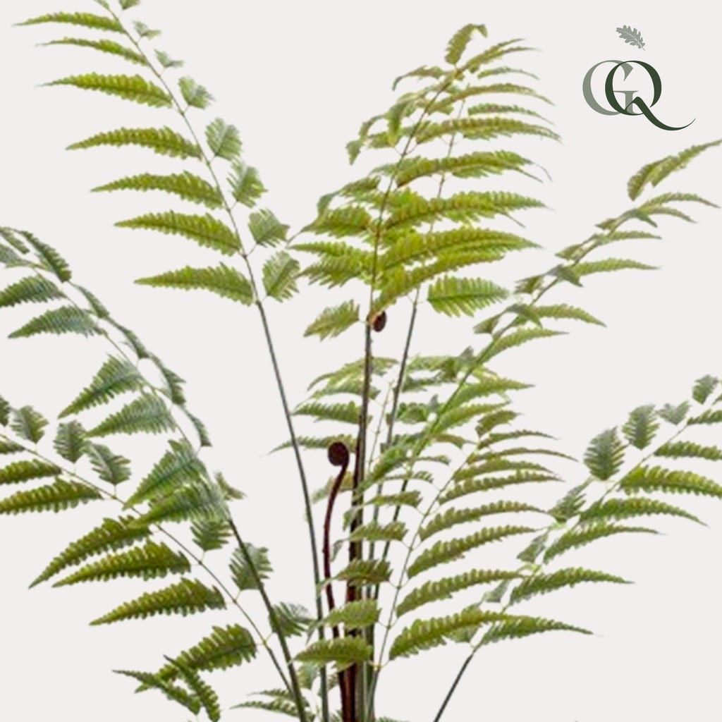 Plante artificielle - Rumohra Adiantiformis - Fougère de cuir - 150 cm