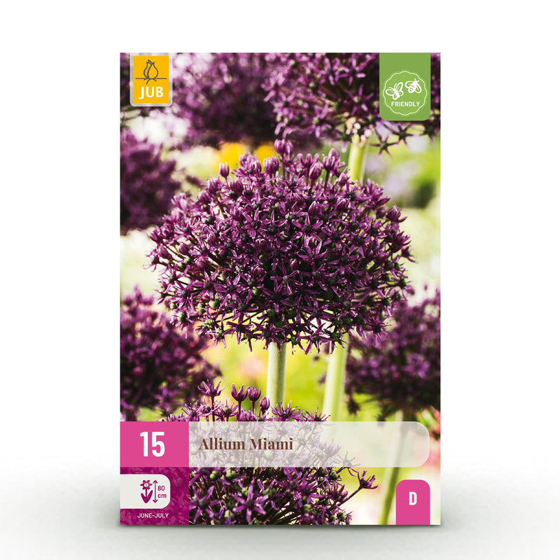Green boutiQ - Bloembollen - Allium Miami - Kleur Paars - 15 stuks - Bolmaat 10/11 - XXL Pack