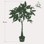 plante artificielle - Pachira aquatica - Arbre à monnaie - 90 cm