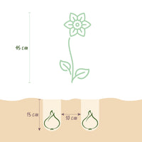 Green boutiQ - Bloembollen - Narcis Large Cupped mix - Kleur Geel en Wit - 15 stuks - Bolmaat 12/14 - XXL Pack