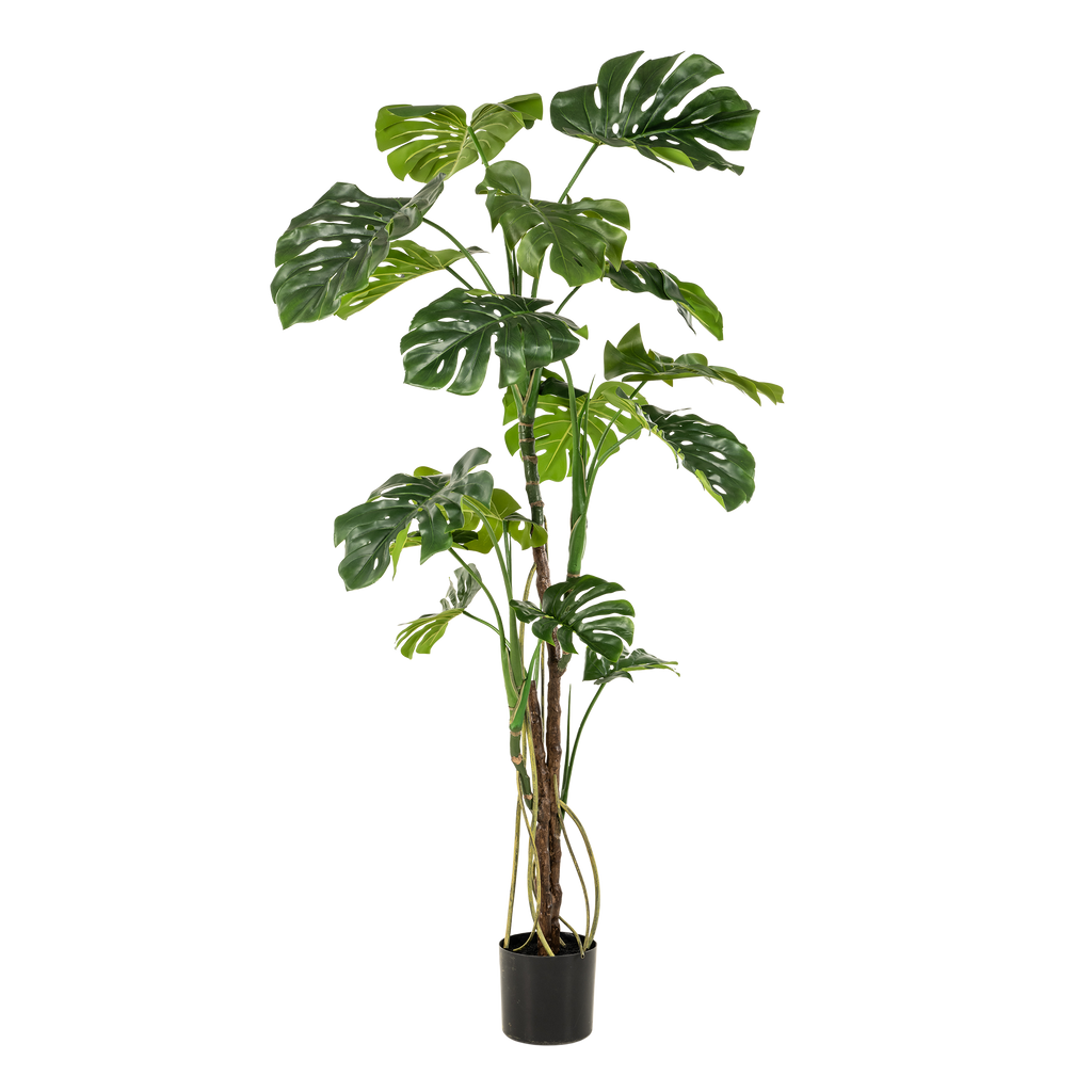 plante artificielle - Monstera - Plante à trous - 180 cm