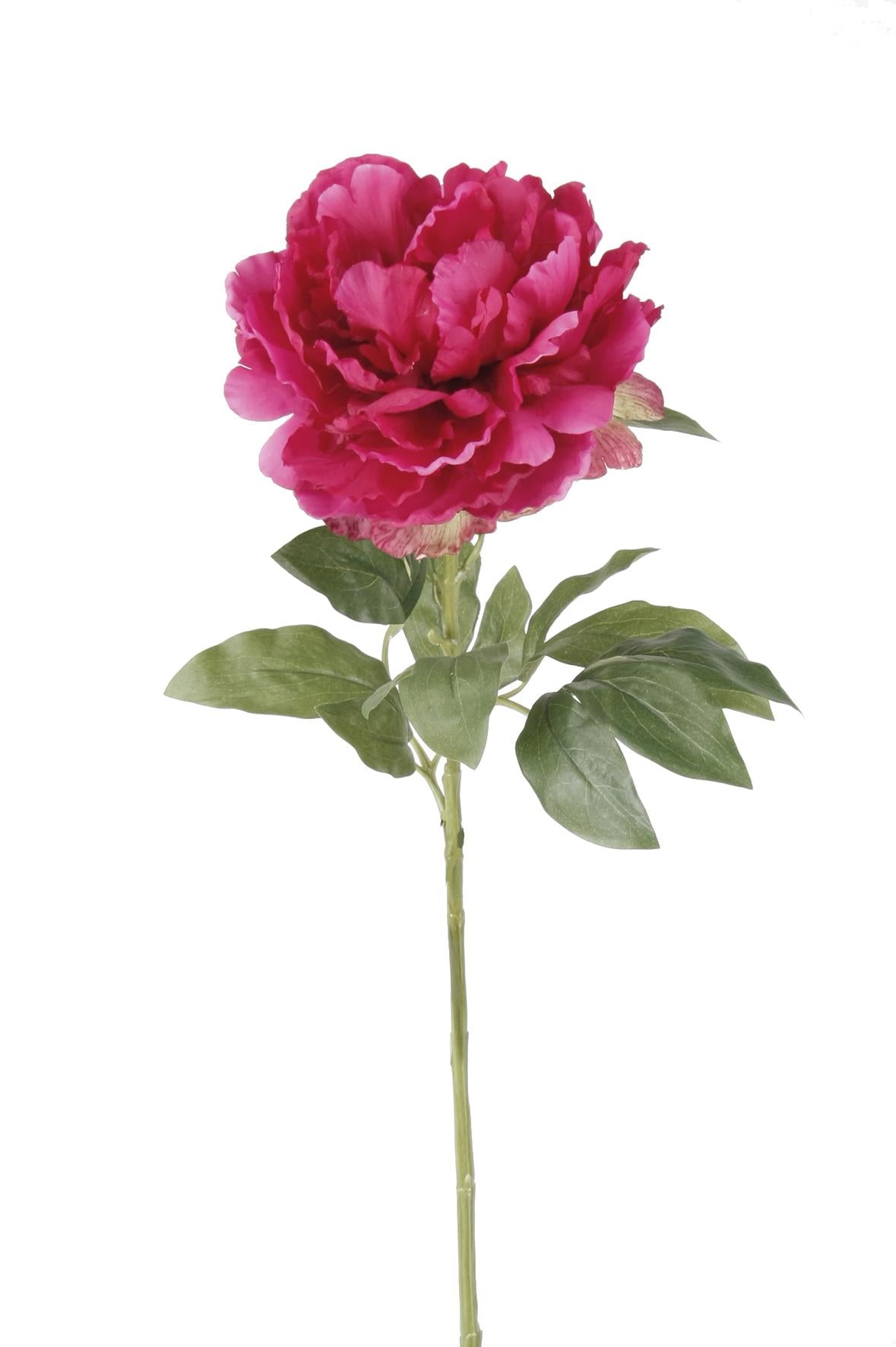 Kunstbloemen Solo - Dark Pink - Peonies - x 5 - 65cm