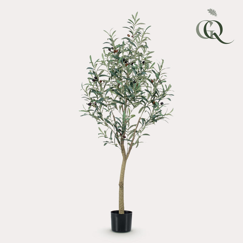 Olea europaea - Olivenbaum - 150 cm - kunstpflanze